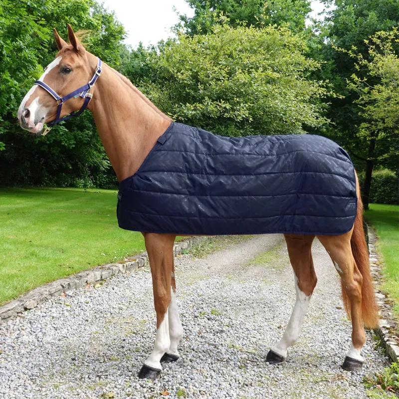 Bucas 100g Liner - Navy